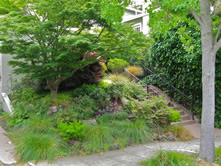 Woodland and Perennial Shrub Garden